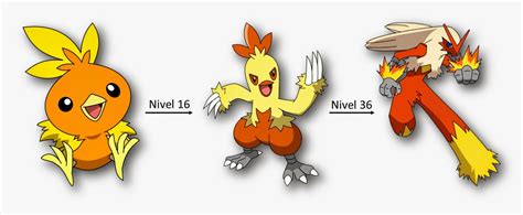 when does combusken evolve.